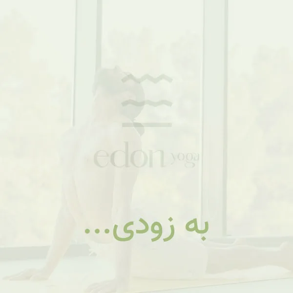 محصولت ایدون